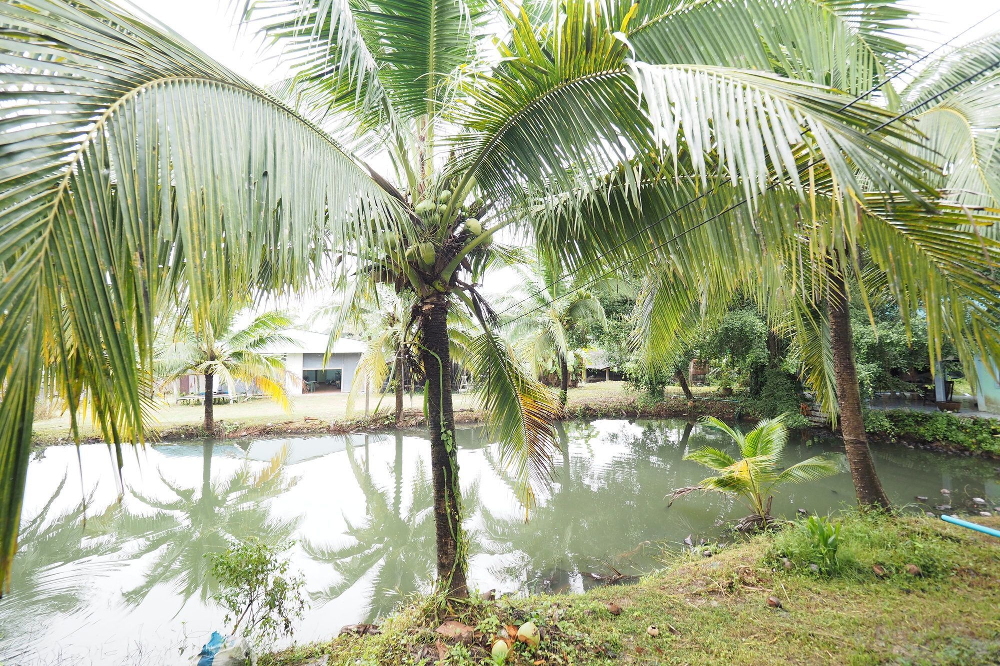 Oyo 75515 Sairung Farmstay Krabi Exterior photo